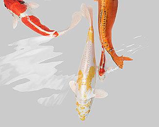 国产《大侠立志传》EA版3月8日上线 内容是试玩版2倍多